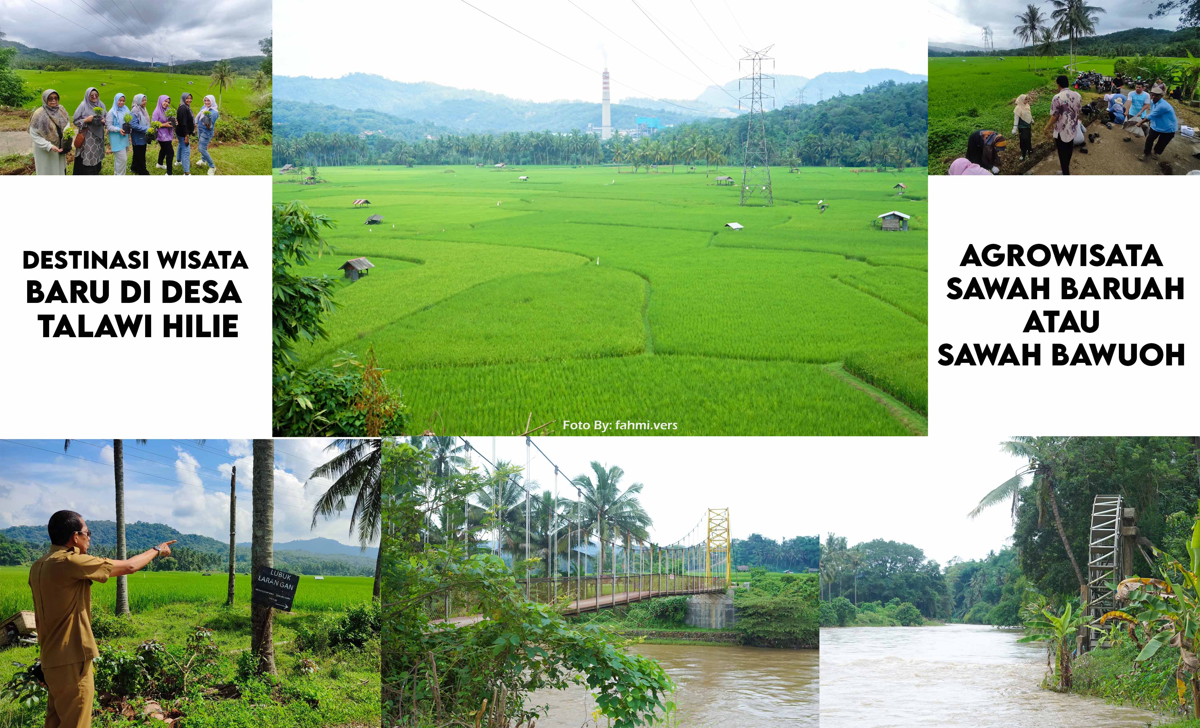 Destinasi Wisata Baru di Desa Talawi Hilie (Agrowisata Sawah baruah atau Sawah Bawuoh)