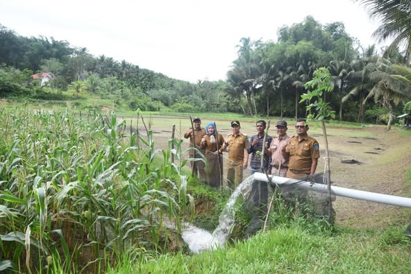 Pj Wali Kota Sawahlunto Fauzan Hasan, S.STP, M.Si tinjau lokasi lahan pertanian yang menggunakan sistem irigasi perpipaan