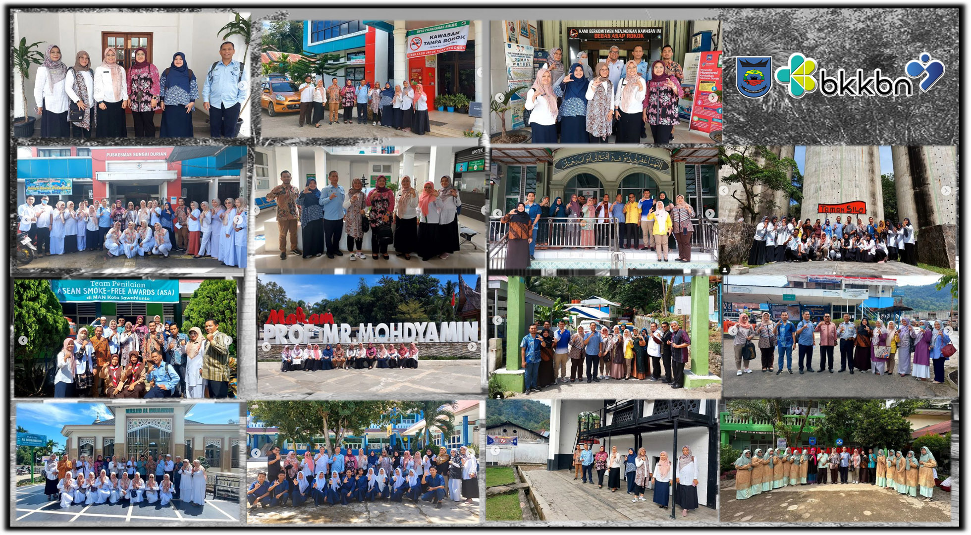 Pendamping Tim Monev