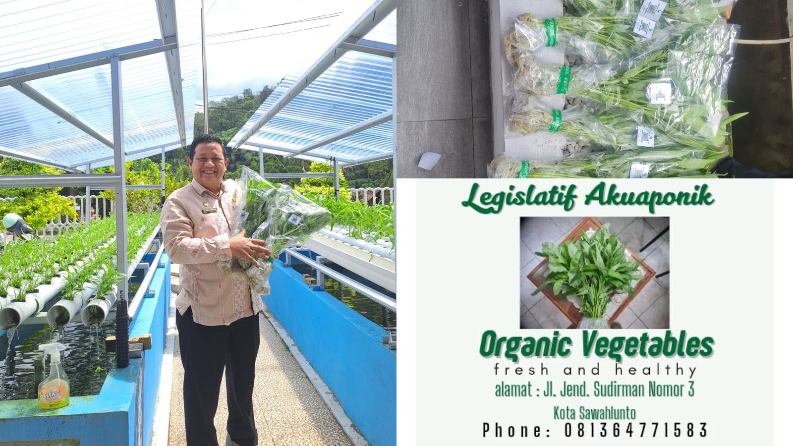 PANEN PERDANA LEGISLATIF AKUAPONIK SETWAN : TERBATAS LAHAN BUKAN HALANGAN