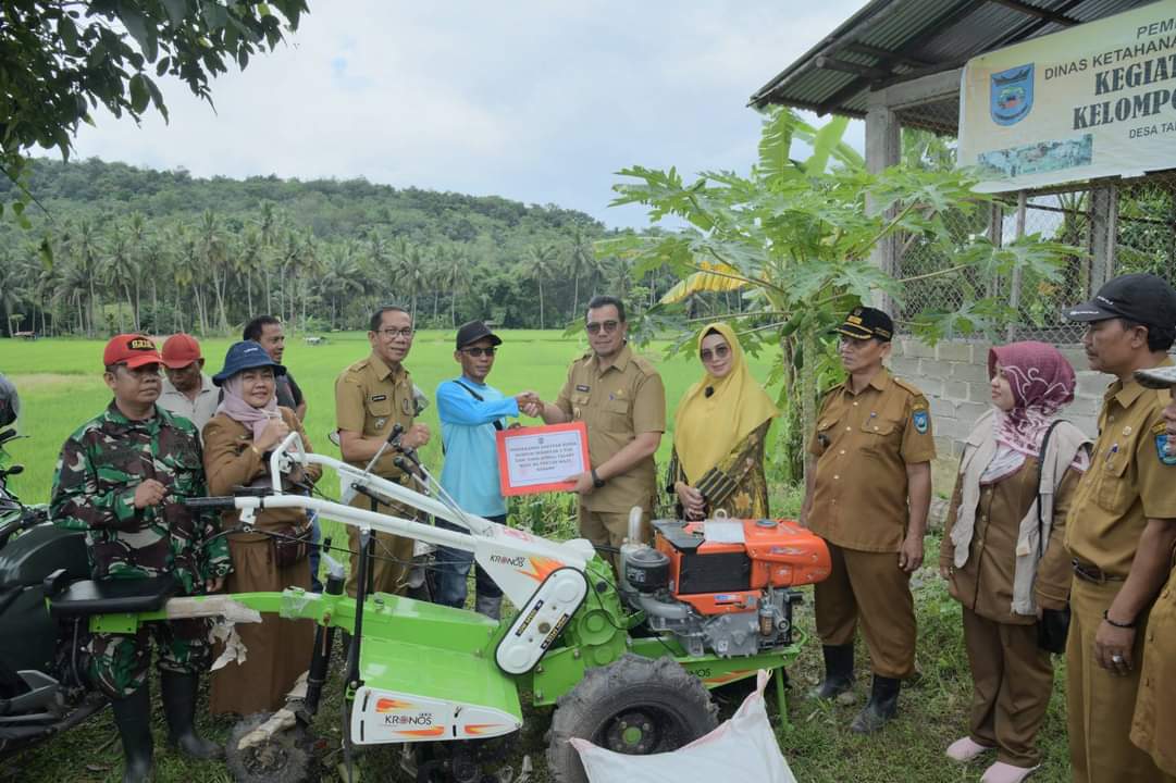 Pemerintah Talawi Hilir beri bantuan pertanian pada kelompok tani Desa Talawi Hilir
