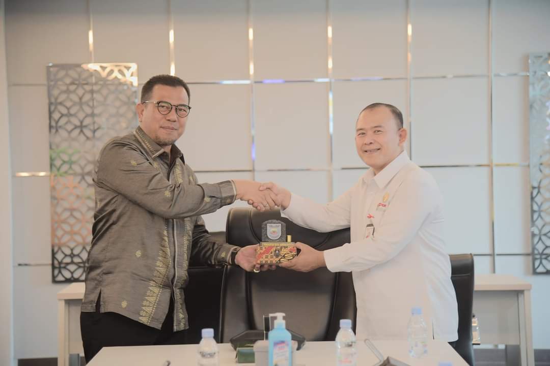 Pj. Zefnihan audiensi dengan Asisten Deputi Transformasi Digital Pelayanan Publik Kementerian PANRB RI