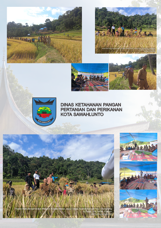 PANEN PADI DI DESA TARATAK BANCAH