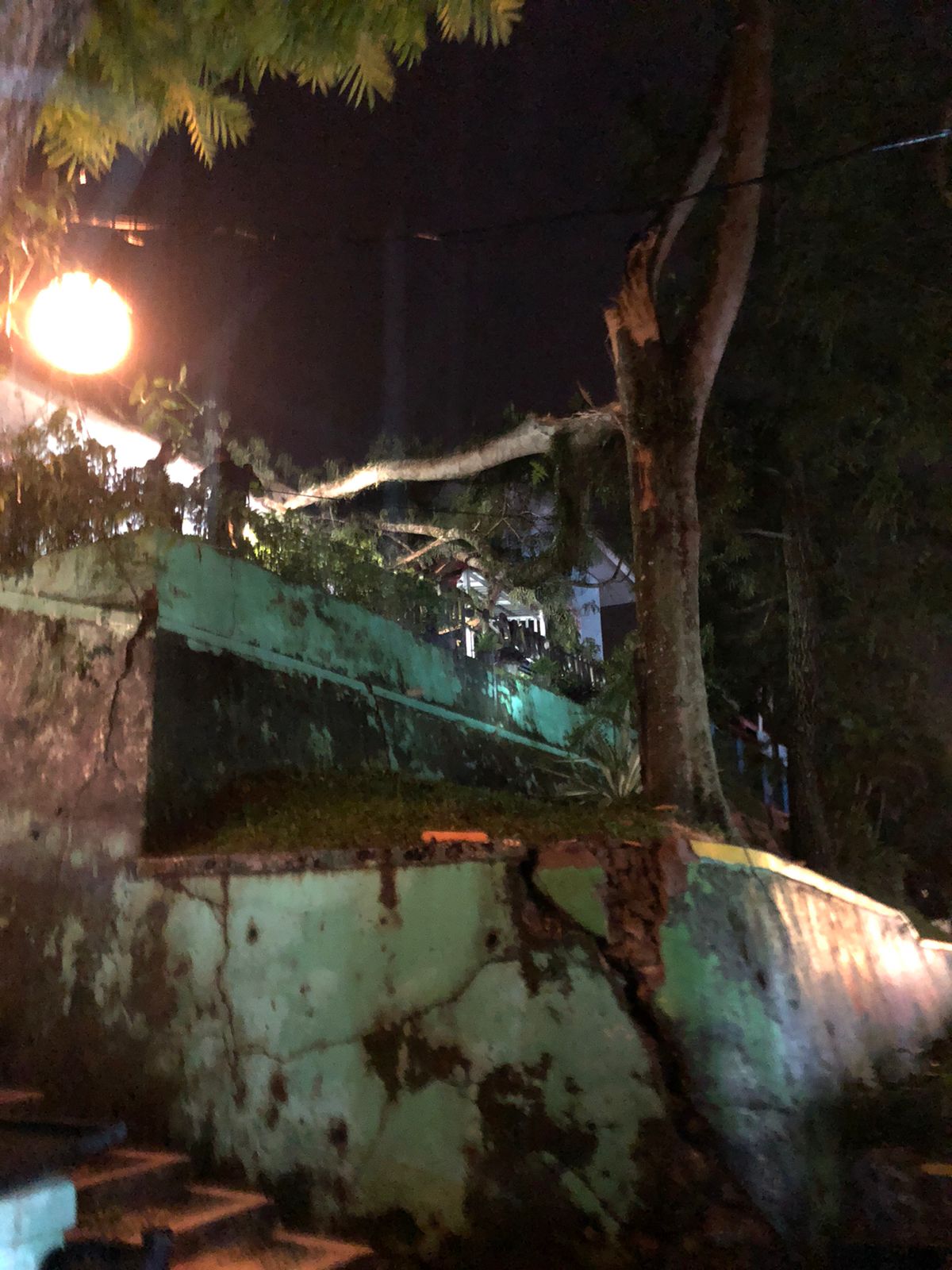 Pohon tumbang  di SMPN 1 Kota Sawahlunto dampak curah hujan tinggi :  BPPD Kota Sawahlunto segera bertindak