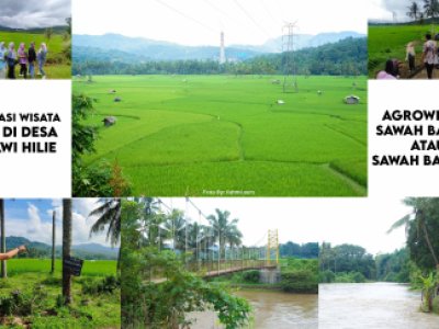 Destinasi Wisata Baru di Desa Talawi Hilie (Agrowisata Sawah baruah atau Sawah Bawuoh)