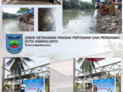 Penebaran Bibit Ikan