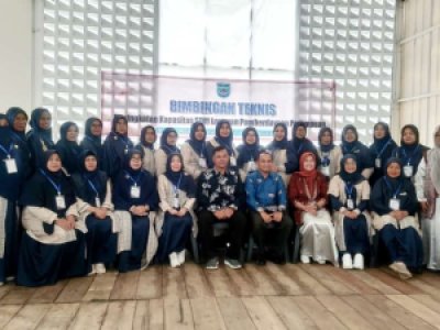Bimbingan Teknis peningkatan kapasitas SDM layanan pemberdayaan perempuan