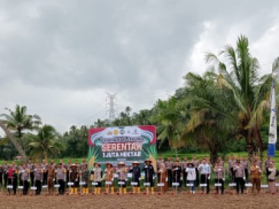 Penanaman serentak bibit jagung di lahan Kelompok Tani Talawi Mudiak