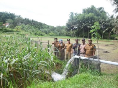 Pj Wali Kota Sawahlunto Fauzan Hasan, S.STP, M.Si tinjau lokasi lahan pertanian yang menggunakan sistem irigasi perpipaan