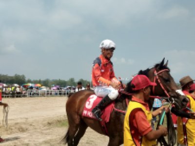 Final Kejurnas  Pacu Kuda Seri II digelar kembali di Kota Sawahlunto