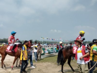 Final Kejurnas Pacu Kuda Pordasi ke 57 Seri II terselenggara dengan meriah