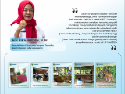 Pencegahan Penyakit pada Sapi