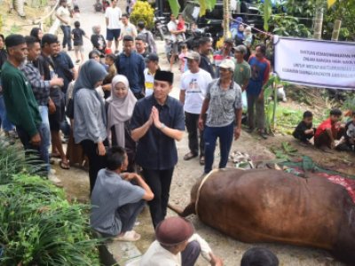 Wali Kota Sawahlunto Tinjau Pemotongan Sapi Kurban Bantuan Presiden Prabowo