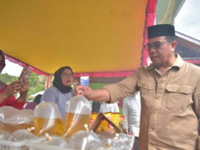 Pj Wali Kota Dr. Zefnihan, M. Si tinjau operasi pasar dan bazar hasil pertanian di Pasar  Sikalang
