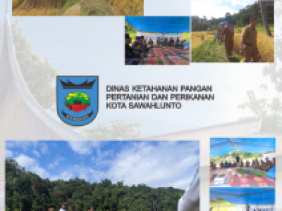 PANEN PADI DI DESA TARATAK BANCAH