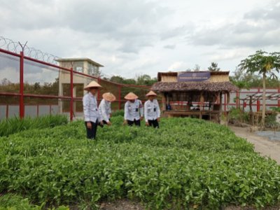 Lapas Narkotika Kota Sawahlunto Dukung Program Ketahanan Pangan Dengan Memanfaatkan Lahan Pekarangan