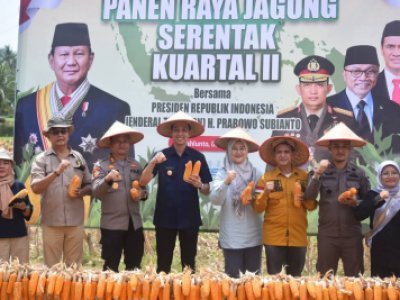 Wali Kota Sawahlunto Dampingi Kapolres pada Panen Raya Jagung Serentak Kuartal II