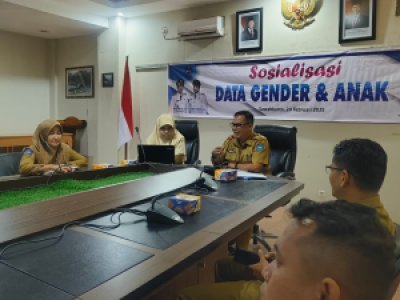 Sosialisasi Data Gender dan Anak.