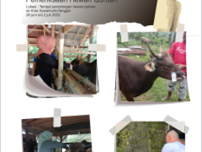 Pemeriksaan Hewan Qurban