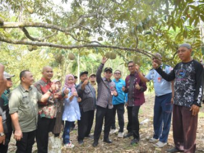 Peninjauan pada Kelompok Tani di Puncak Polan