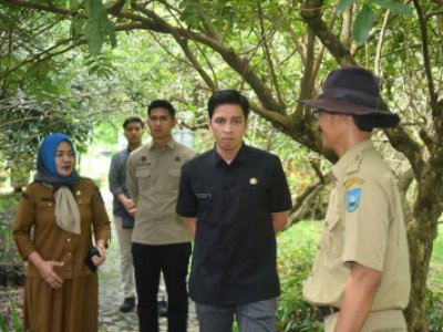 Wali Kota Sawahlunto Riyanda Putra tinjau langsung  Kebun Buah Kandi