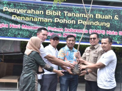 PT. Bukit Asam (PTBA memberikan bantuan bibit pohon produktif dan tanaman pelindng untuk Pemko dan kelompok-kelompok tani di Sawahlunto